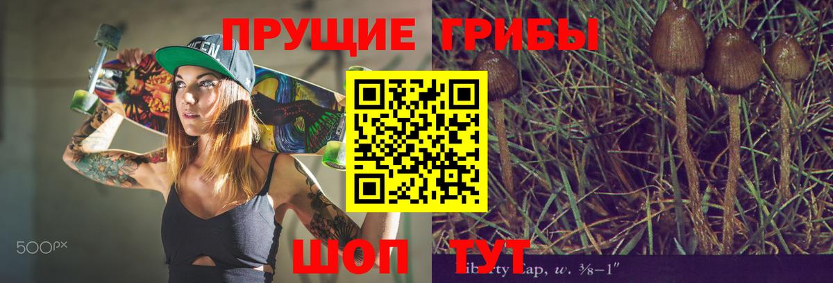 Галлюциногенные грибы GOLDEN TEACHER Партизанск