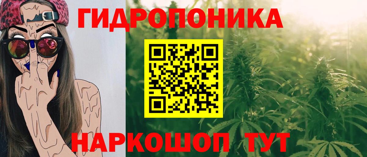 Шишки марихуана ГИДРОПОН Партизанск
